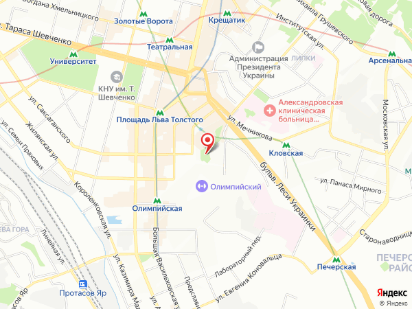 около станции Олимпийская